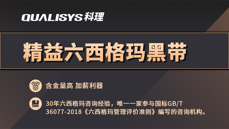 精益六西格玛黑带